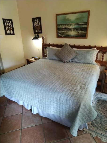 Buona Notte Bed and Breakfast Johannesburg Eksteriør billede